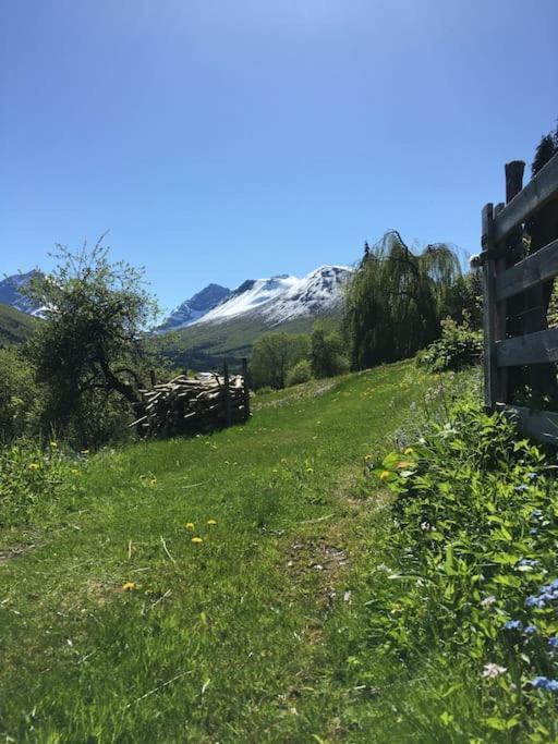 Moonvalley Lodge - Stort & Koselig Hus - Mandalen Luaran gambar